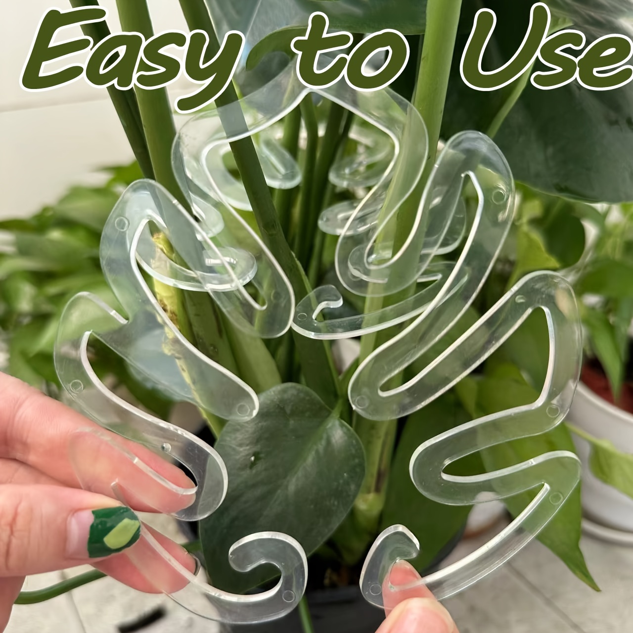 Klip Penyangga Tanaman Monster - Variegated Monstera Node ulasan dan harga
