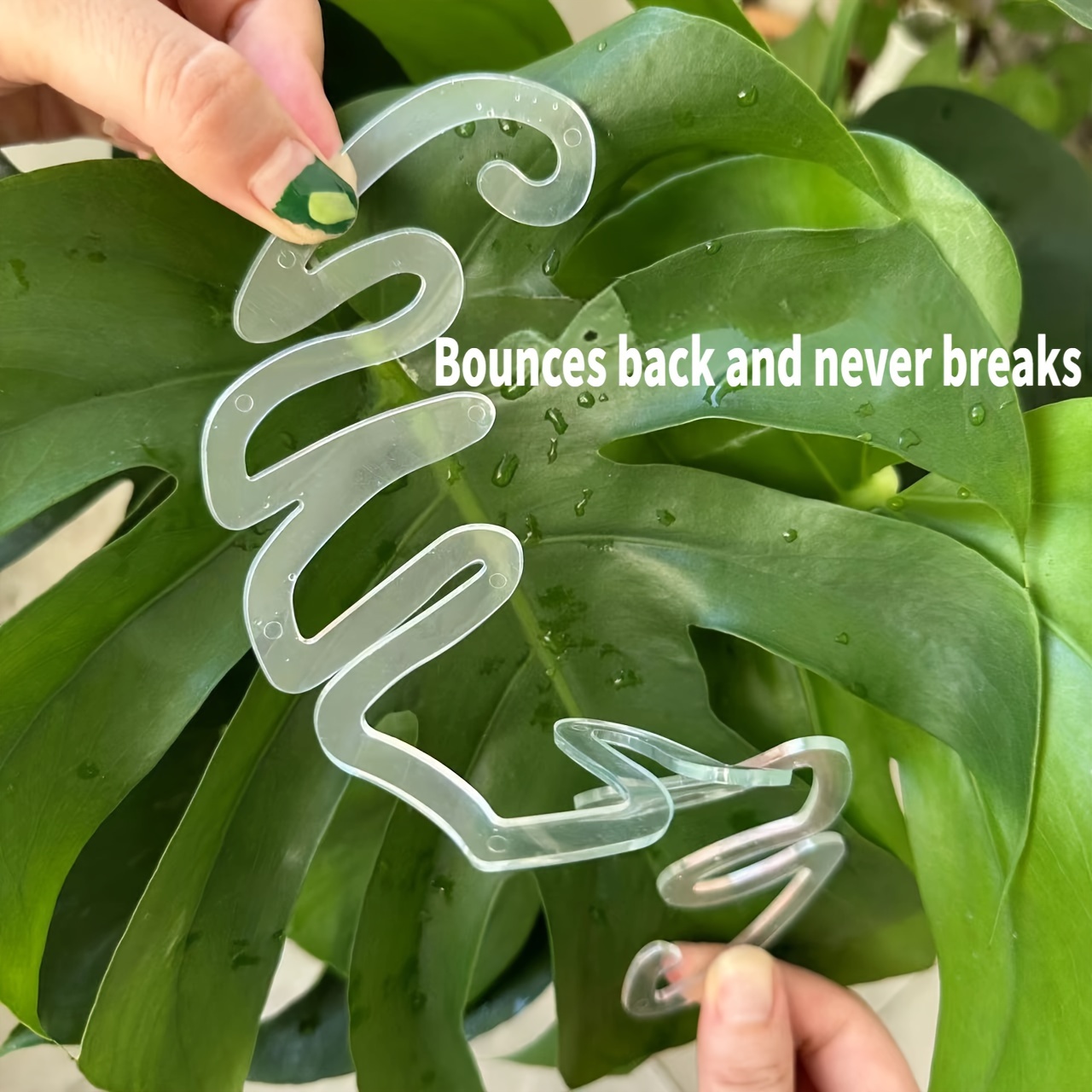 Klip Penyangga Tanaman Monster - Variegated Monstera Node ulasan dan harga