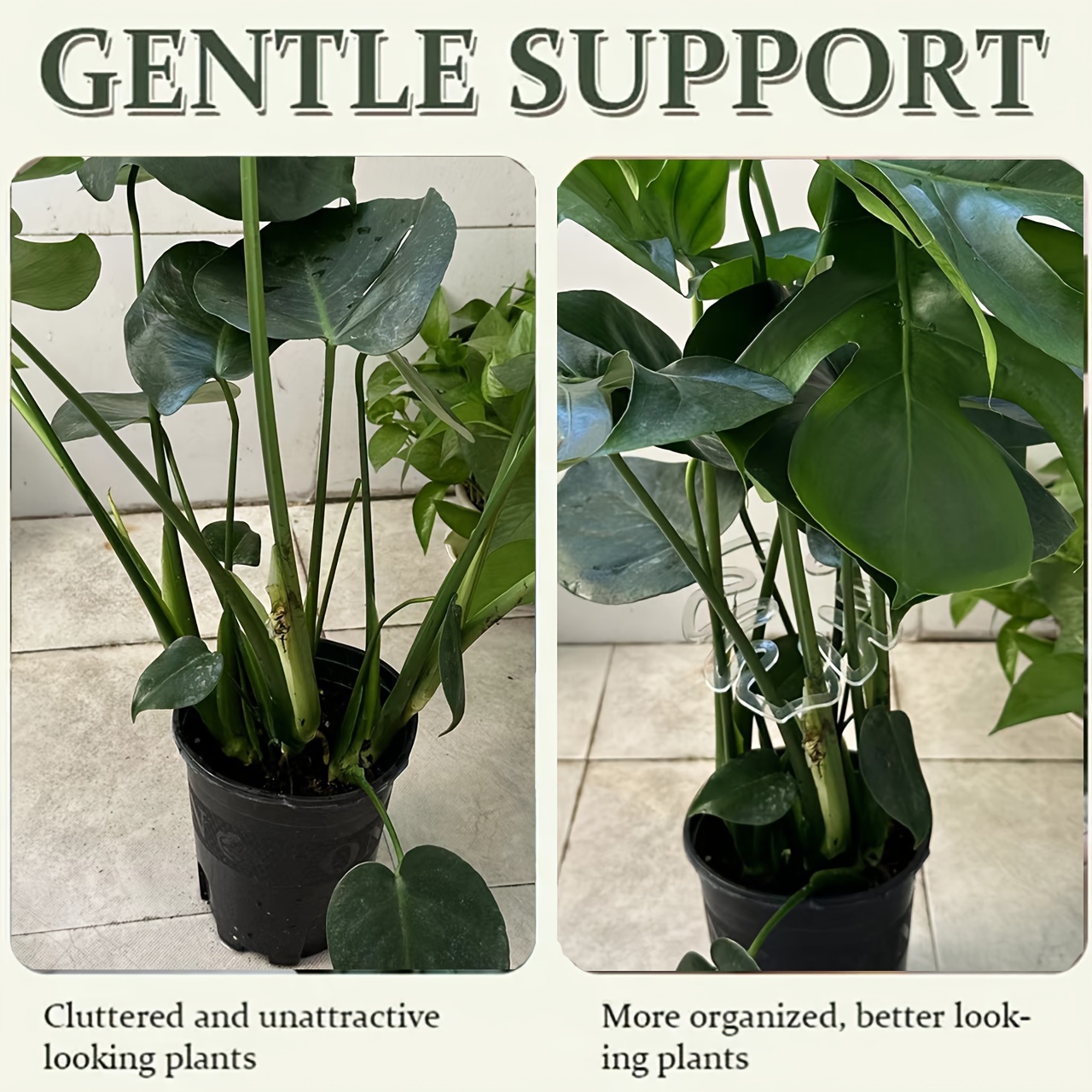 Klip Penyangga Tanaman Monster - Variegated Monstera Node ulasan dan harga