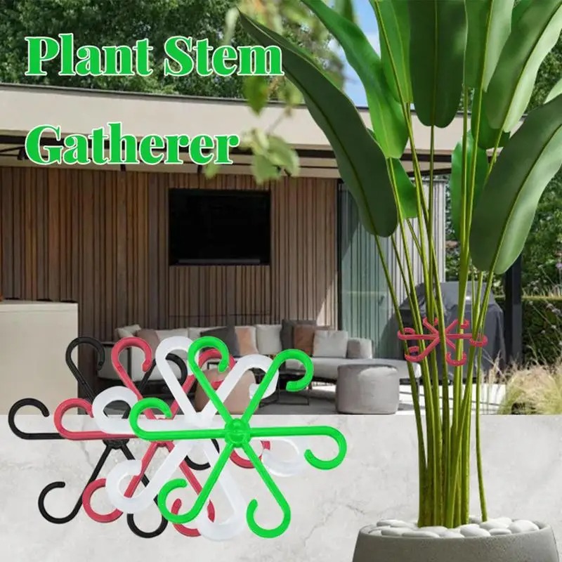 4 buah klip penyangga tanaman  - Variegated Monstera Node ulasan dan harga