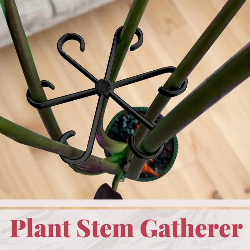 4 buah klip penyangga tanaman  - Variegated Monstera Node ulasan dan harga