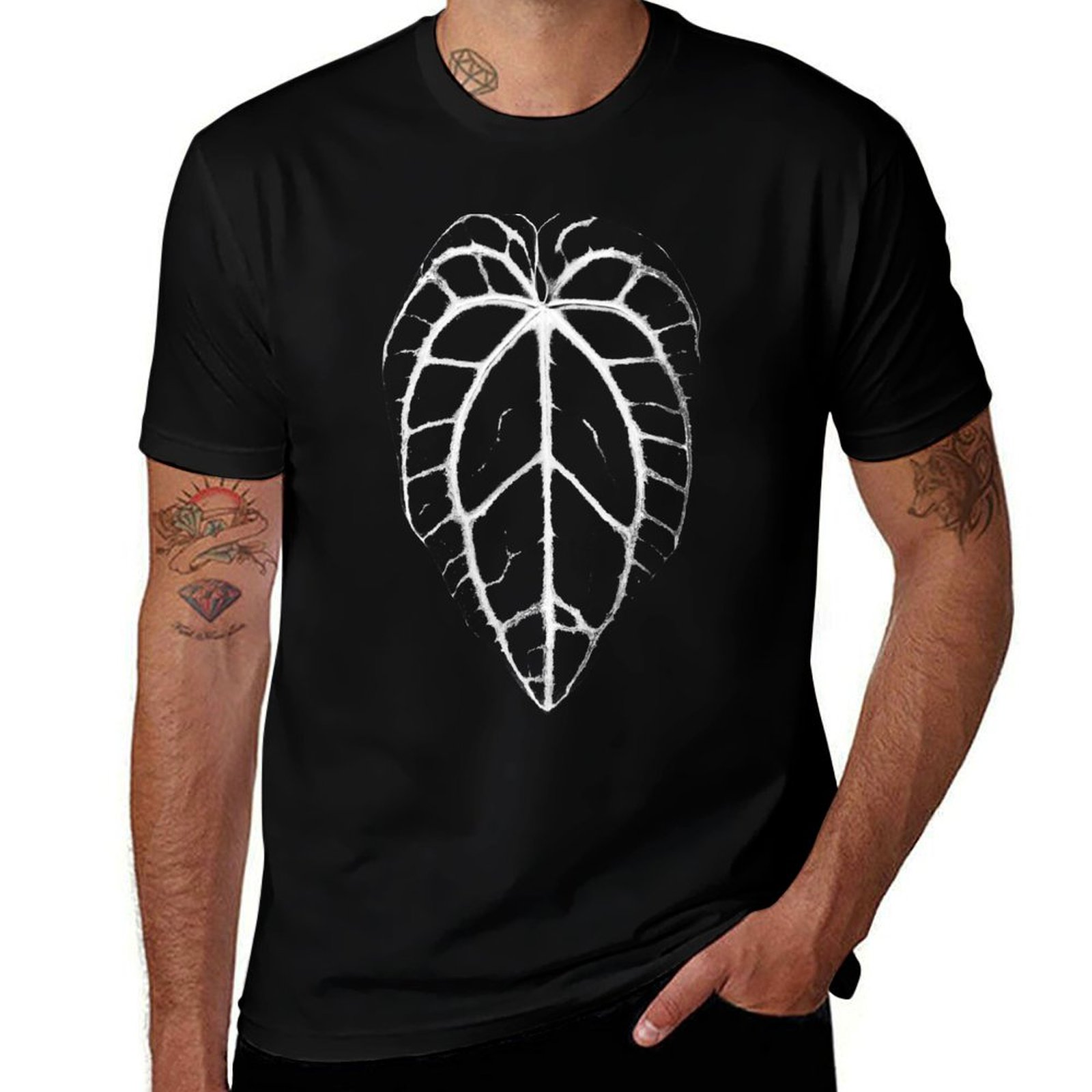 Kaos ANTHURIUM CRYSTALLINUM VE - Anthurium Crystallinum ulasan dan harga