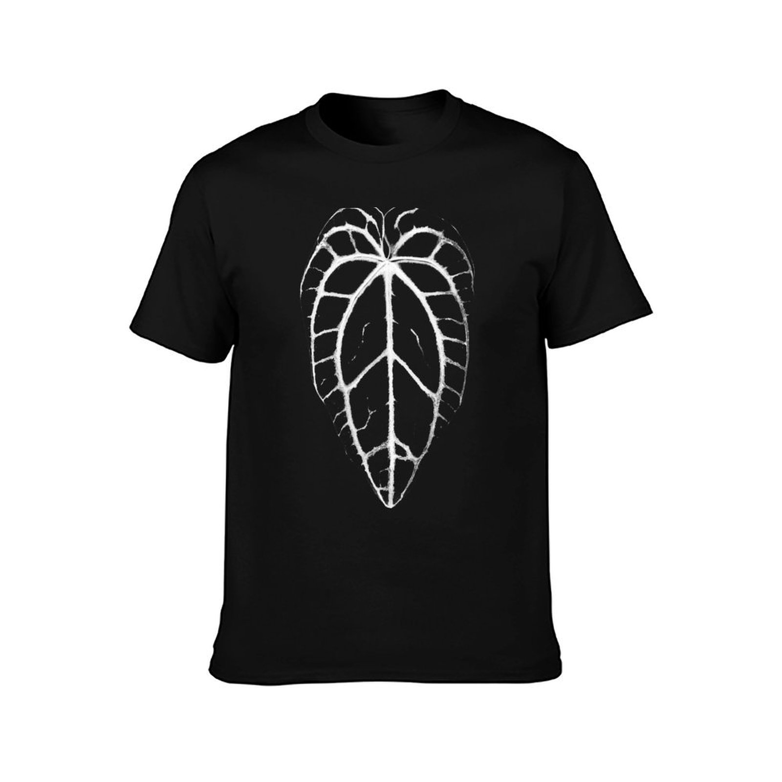 Kaos ANTHURIUM CRYSTALLINUM VE - Anthurium Crystallinum ulasan dan harga