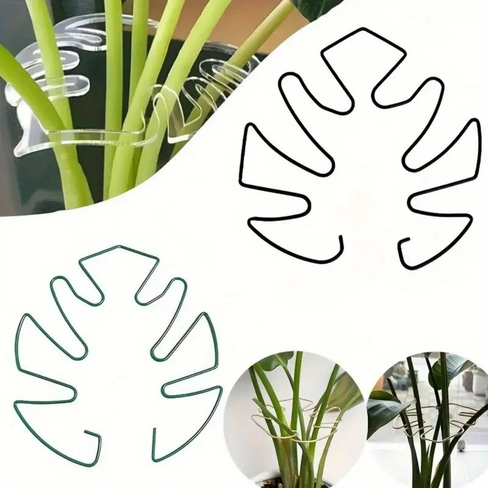 1 Buah Klip Tanaman Besar untu - Variegated Monstera Node ulasan dan harga