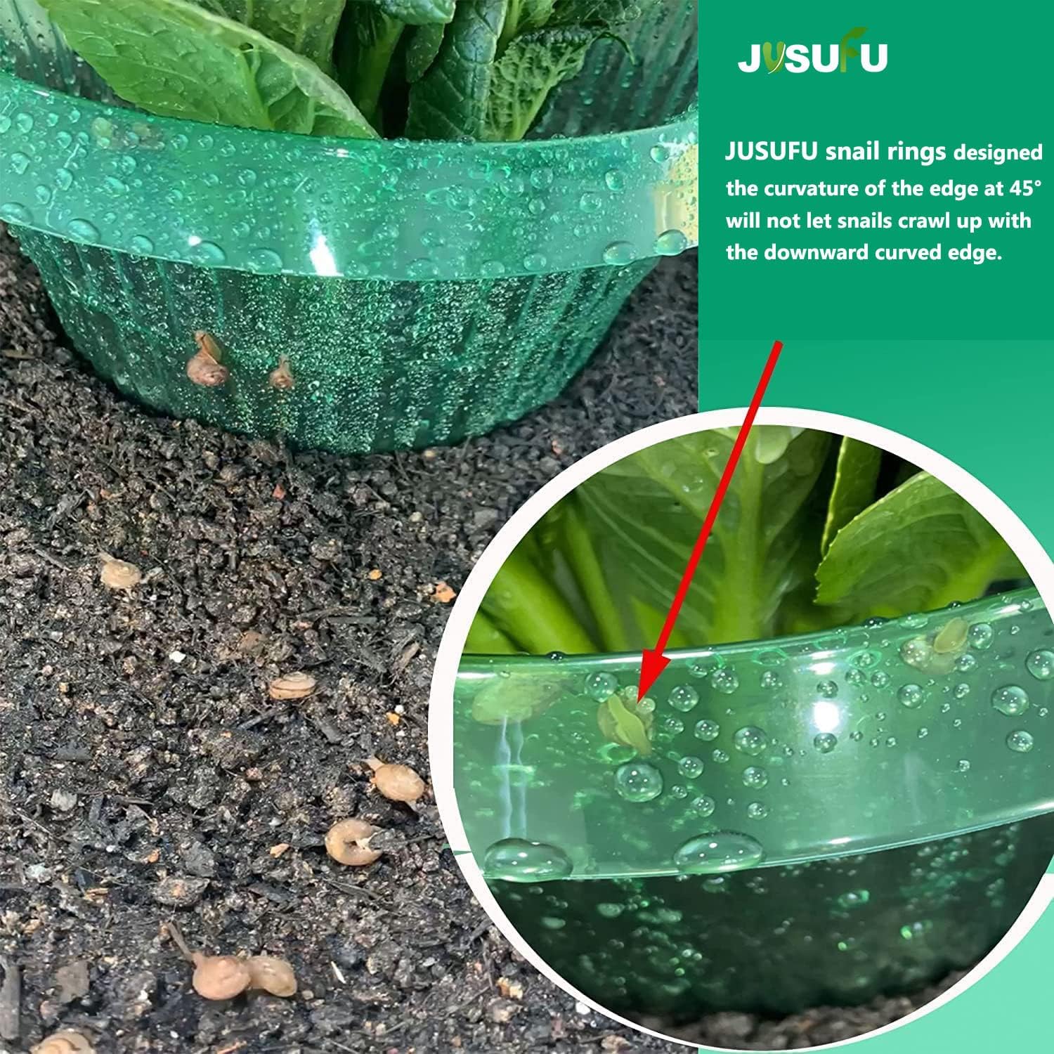 1/30 Buah Cincin Pelindung Sip - Plant Parents ulasan dan harga